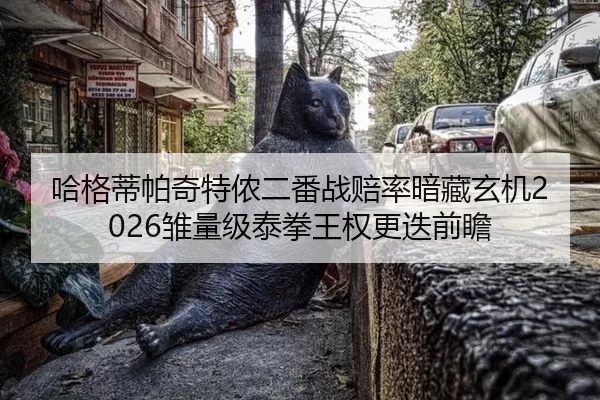 ha-ge-di-pa-qi-te-nong-er-fan-zhan-pei-lv-an-cang-xuan-ji-chu-liang-ji-tai-quan-wang-quan-geng-die-qian-zhan-2-899.jpg