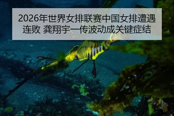 2026年世界女排联赛中国女排遭遇连败 龚翔宇一传波动成关键症结